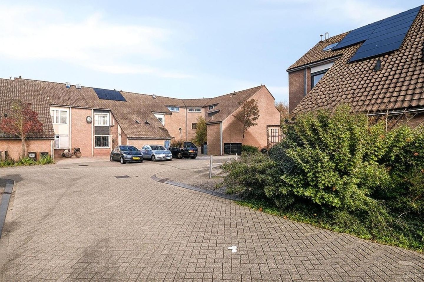 Photo 29 of Punter 49 16