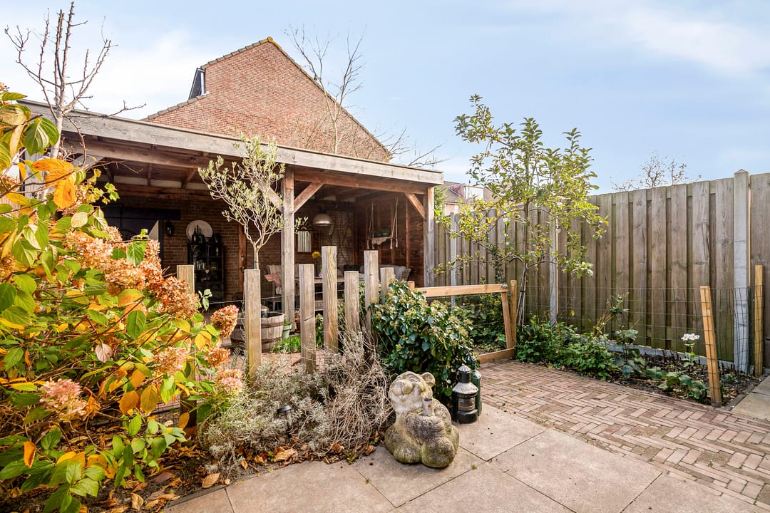 Photo 31 of Punter 49 16