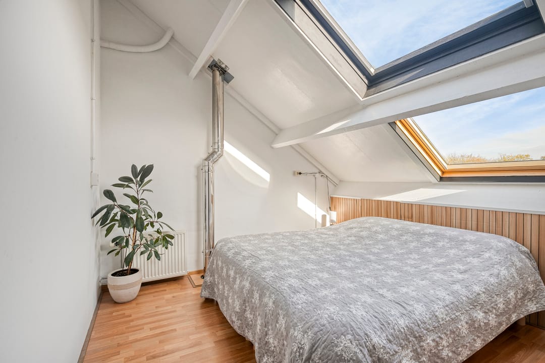 Photo 26 of Punter 49 16