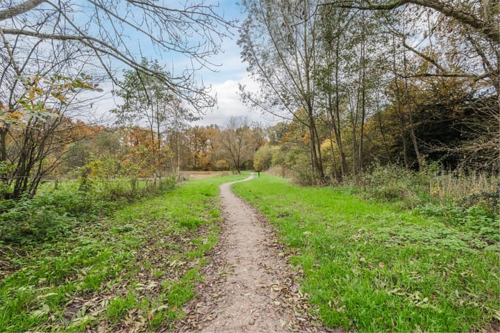 Photo 51 of Van Goghstraat 1