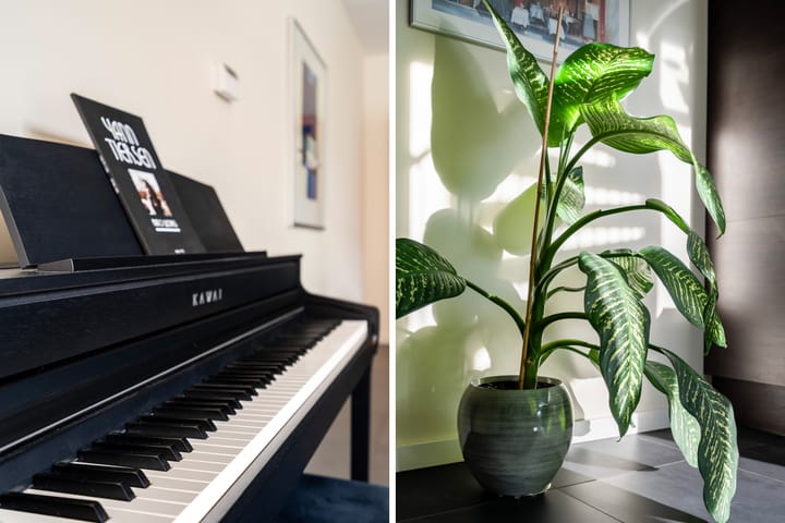 Foto 18 van Formosa 24