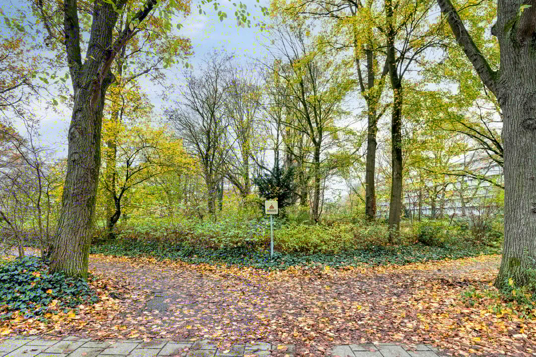 Photo 26 of Jan Vermeerstraat 417