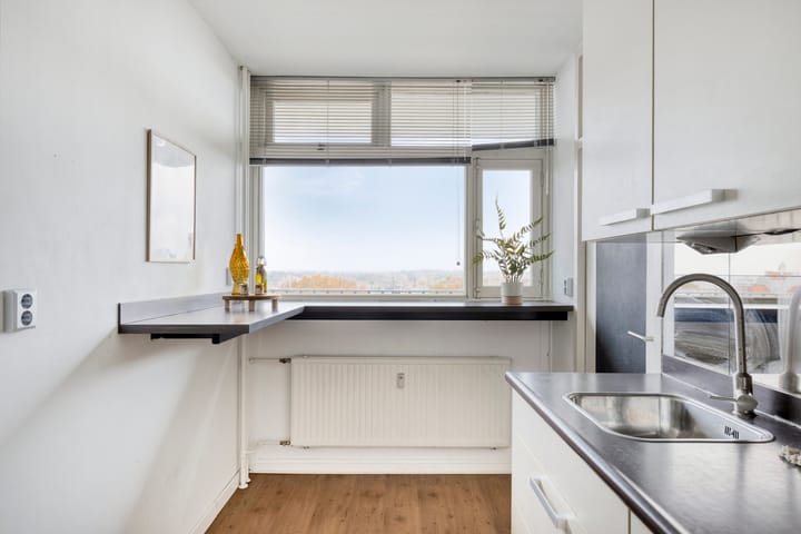 Photo 36 of Jan Vermeerstraat 417