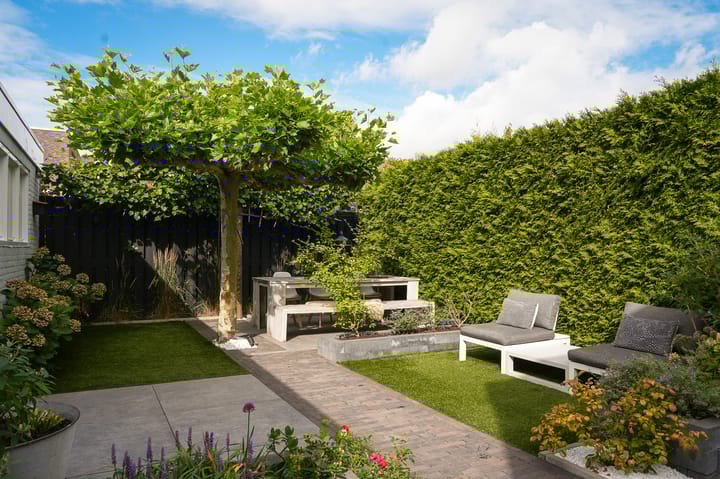 Photo 44 of Esscheweg 34