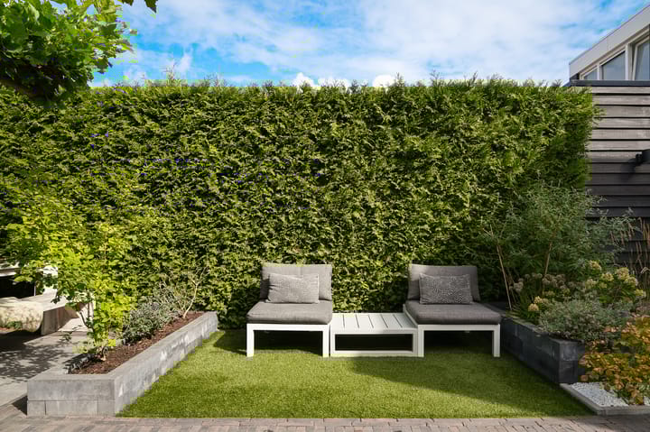 Photo 46 of Esscheweg 34