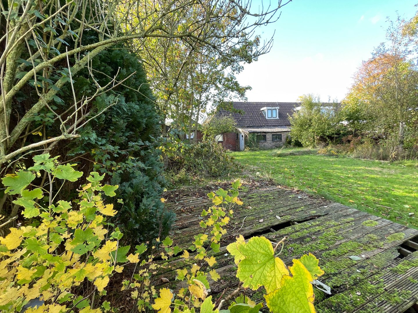 Foto 14 van Boarnsylsterwei 18