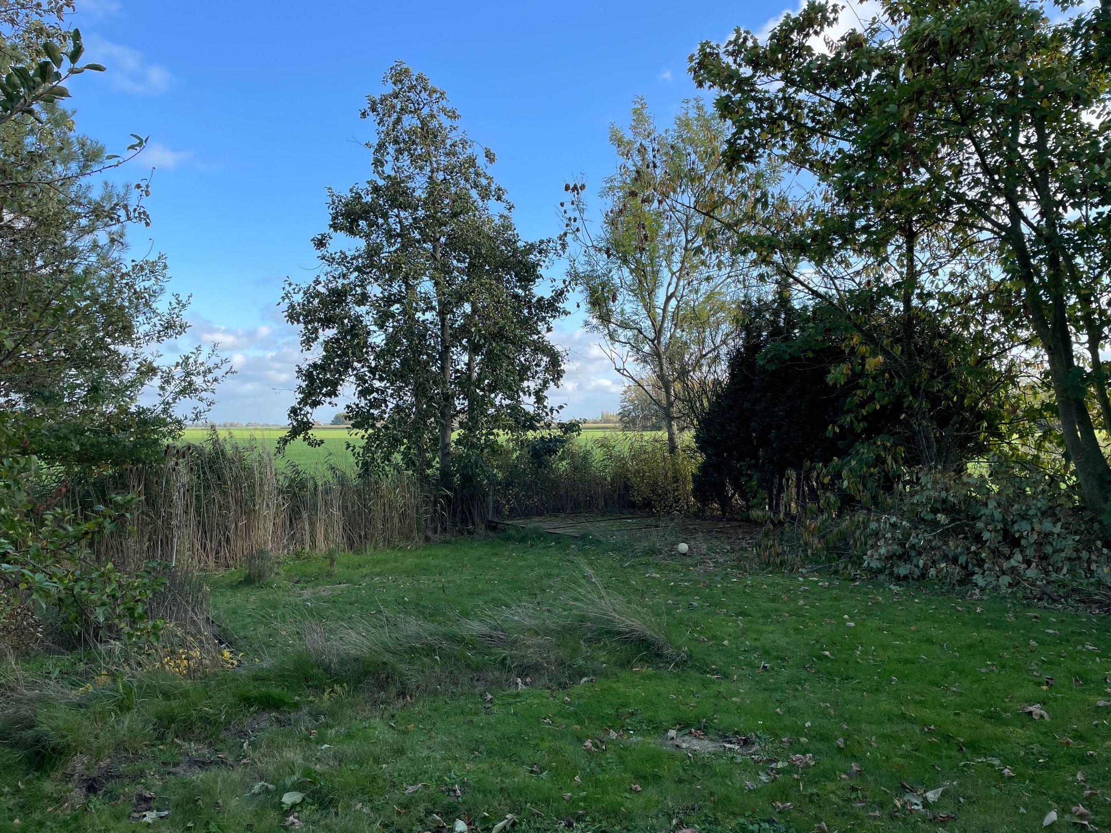 Foto 18 van Boarnsylsterwei 18