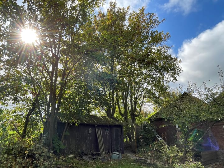 Photo 19 of Boarnsylsterwei 18