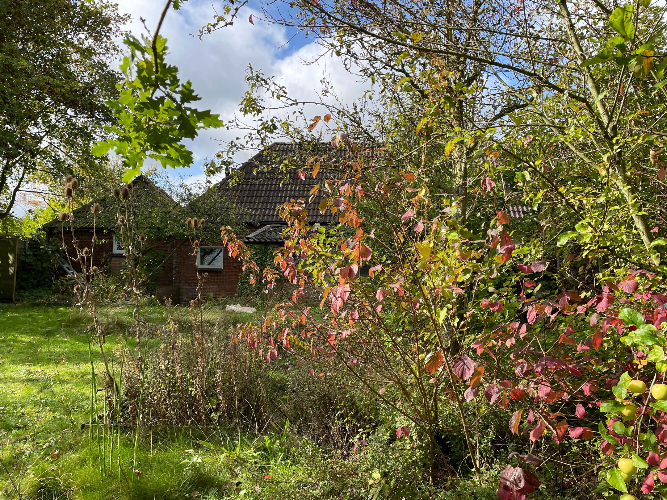 Foto 15 van Boarnsylsterwei 18