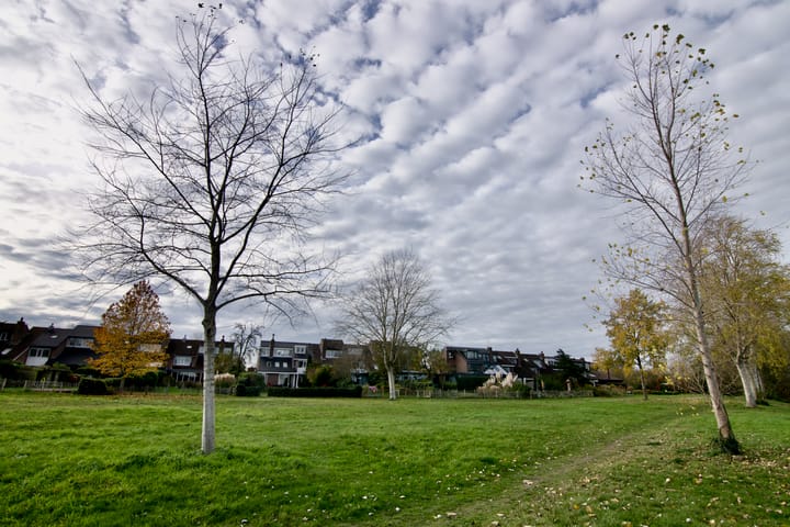 Foto 50 van Travers 11