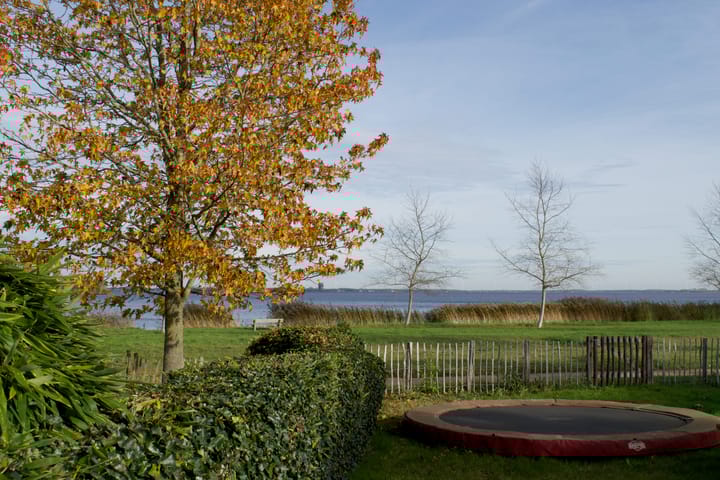 Foto 51 van Travers 11