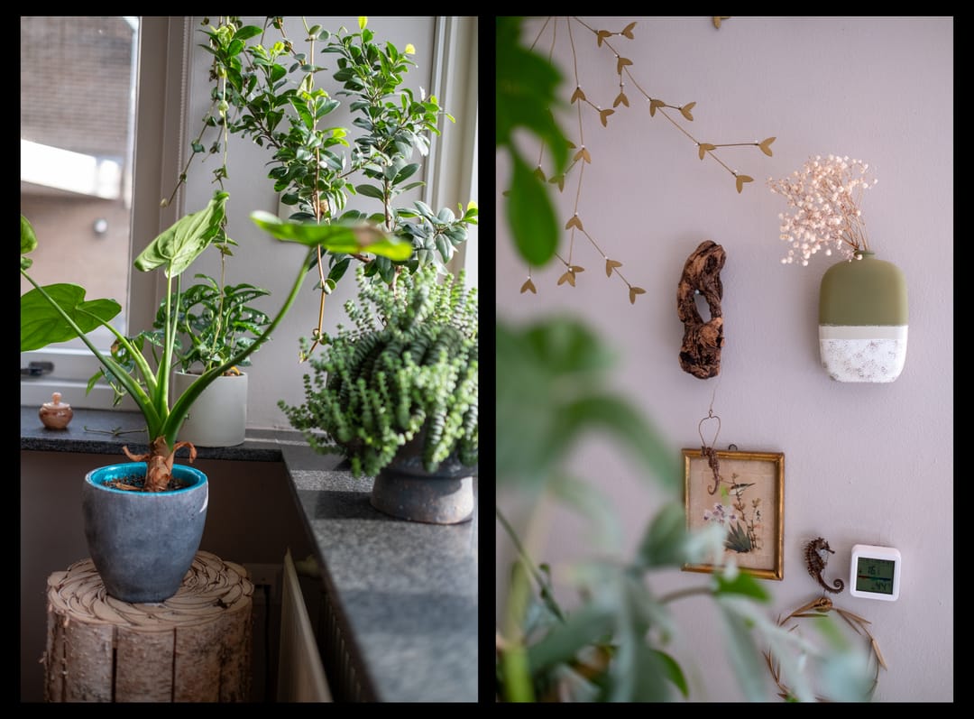 Photo 13 of Waterman 18