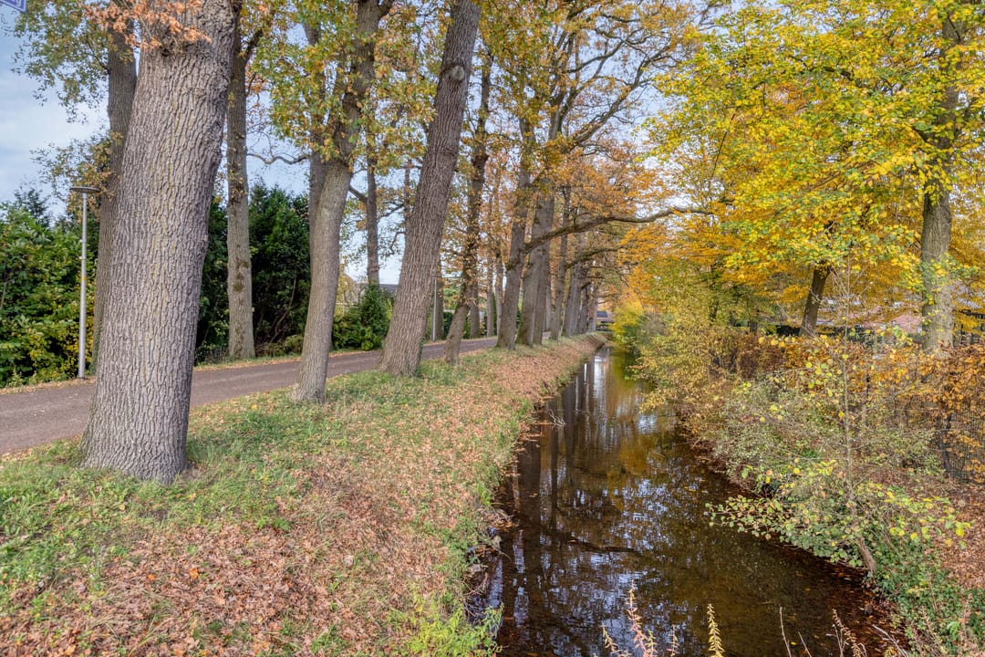 Foto 41 van Molenstraat 73