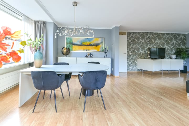 Photo 16 of Driehuizerkerkweg 234