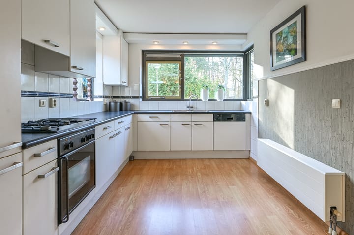 Photo 19 of Driehuizerkerkweg 234