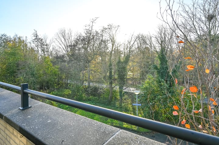 Photo 43 of Driehuizerkerkweg 234