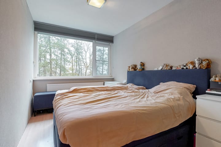 Foto 20 van Saksenhorst 23-A