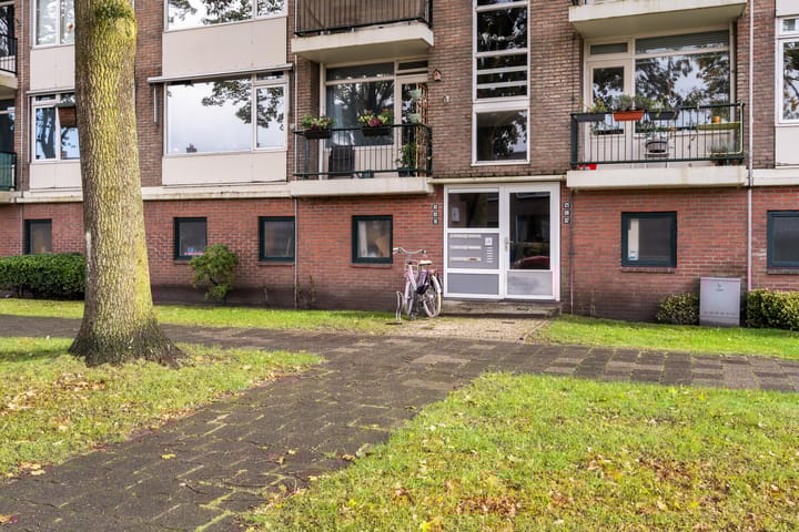 Foto 7 van Ericalaan 111