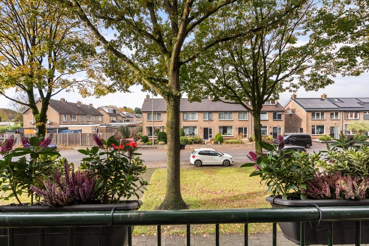 Foto 24 van Ericalaan 111