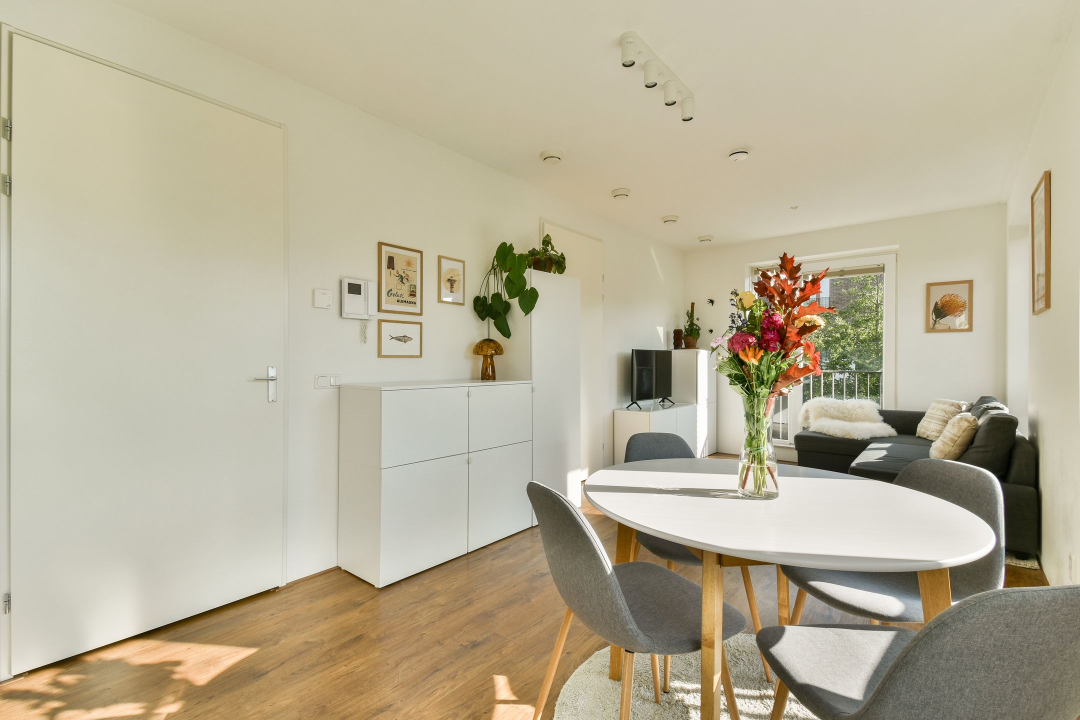 Foto 3 van Theodoor van Hoytemastraat 68