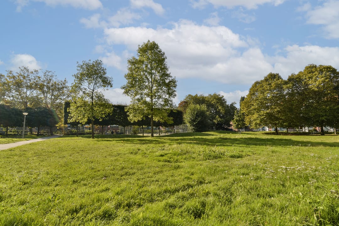 Foto 16 van Theodoor van Hoytemastraat 68