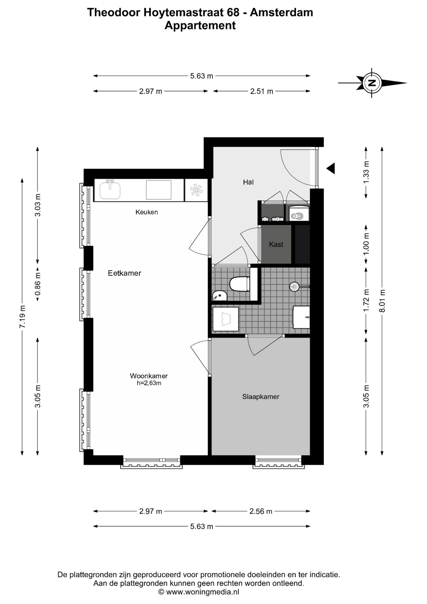 Foto 18 van Theodoor van Hoytemastraat 68