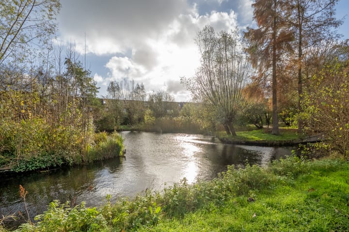 Foto 45 van Hooikamp 62