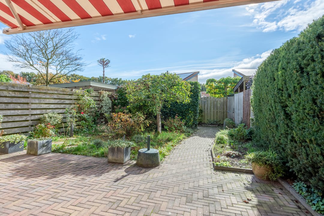 Foto 31 van Van Breugelplantsoen 40