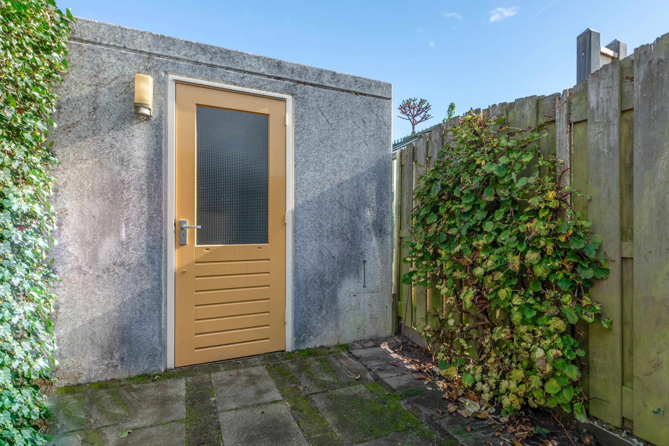 Foto 33 van Van Breugelplantsoen 40