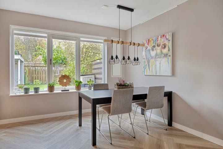 Photo 12 of Duifkruid 45