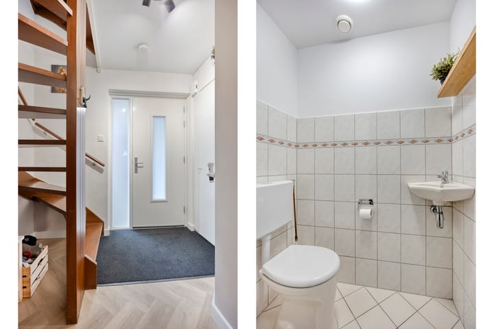 Photo 7 of Duifkruid 45