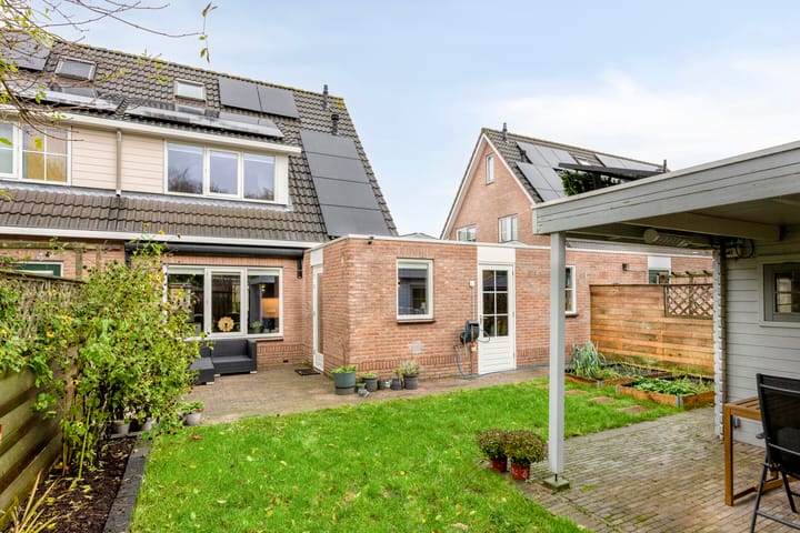 Photo 30 of Duifkruid 45