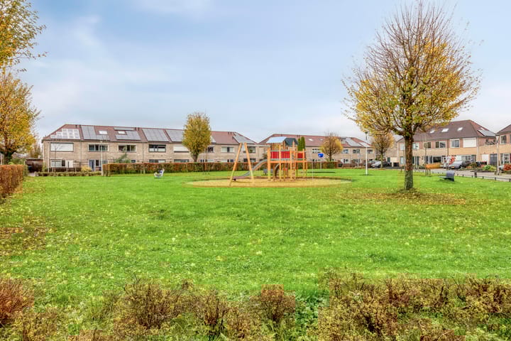 Photo 34 of Duifkruid 45