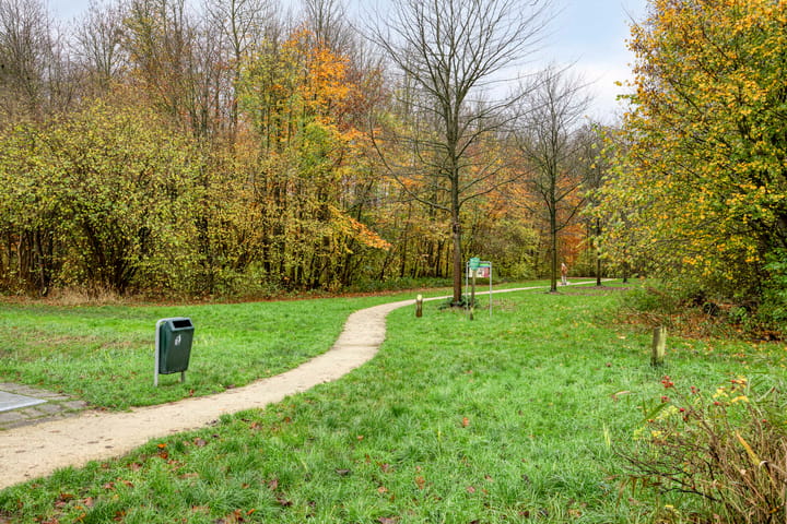 Photo 35 of Duifkruid 45