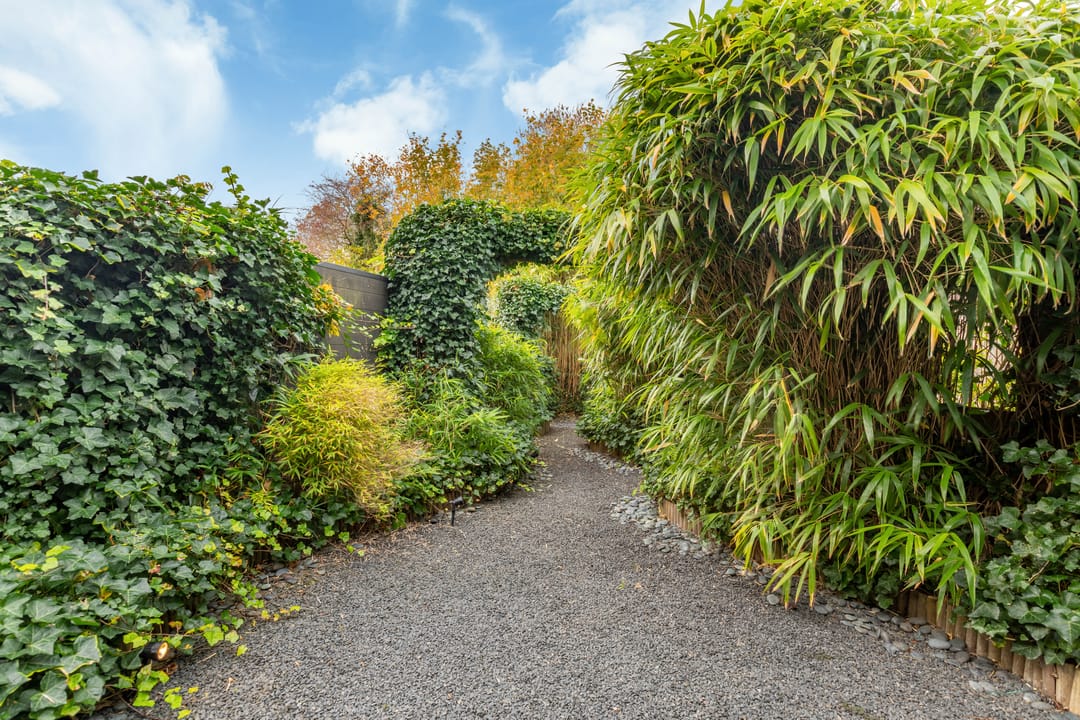 Foto 22 van Sonderholm 91