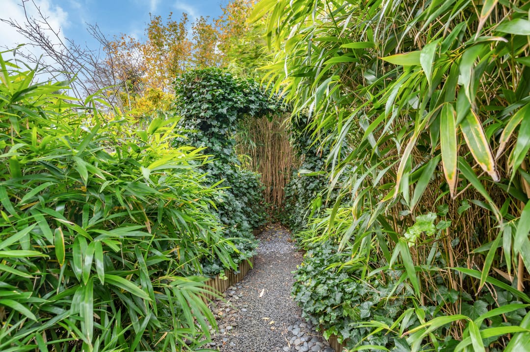 Foto 23 van Sonderholm 91