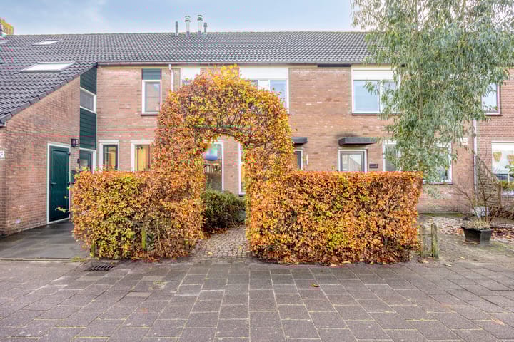 Photo 5 of Olmenpad 6