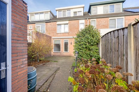 Olmenpad 6 secondary image