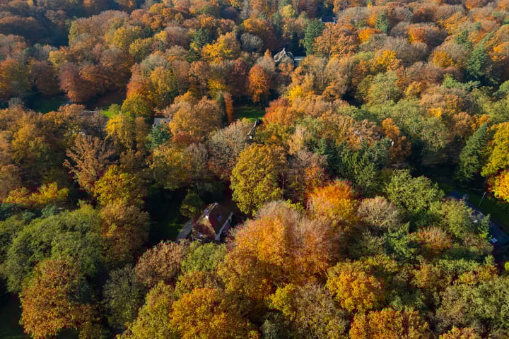 Photo 66 of Middenweg 1