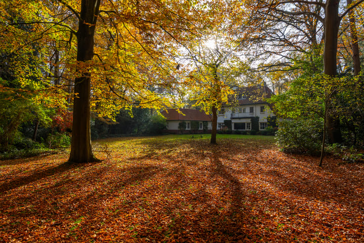 Photo 70 of Middenweg 1