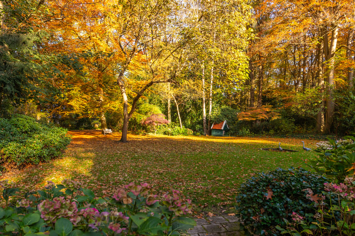 Photo 73 of Middenweg 1