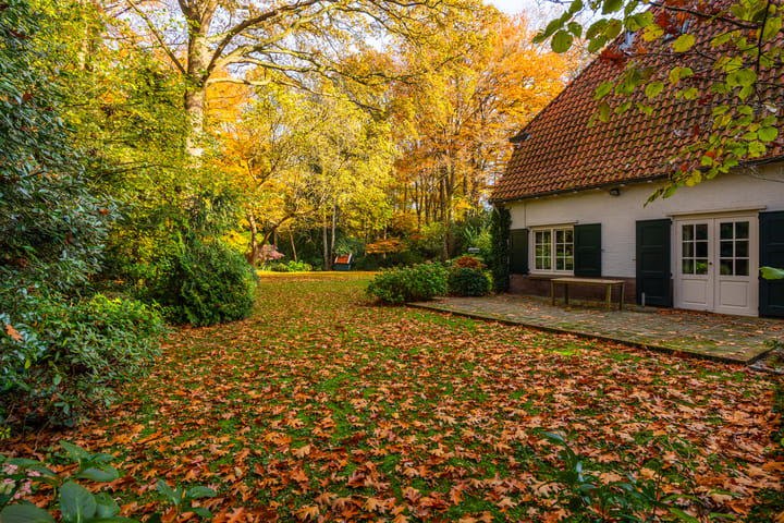 Photo 74 of Middenweg 1