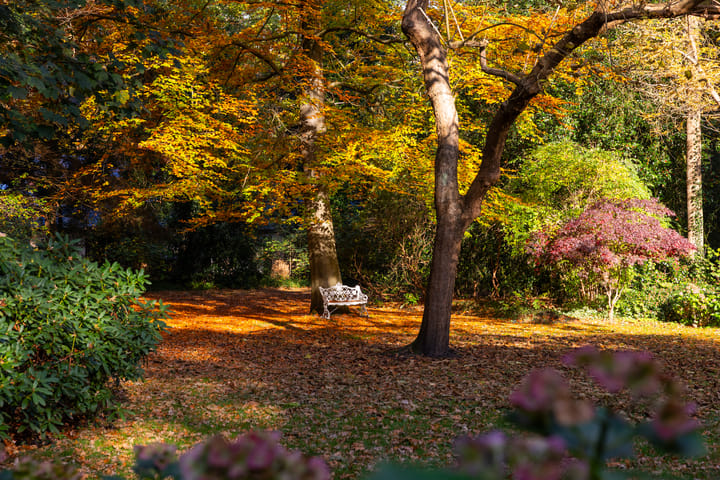 Photo 75 of Middenweg 1