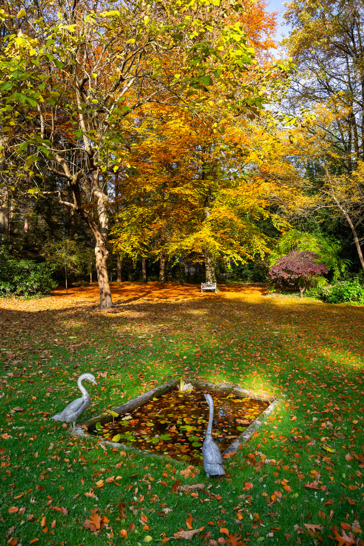 Photo 77 of Middenweg 1