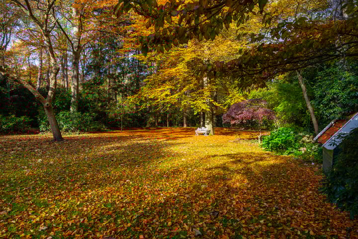 Photo 80 of Middenweg 1