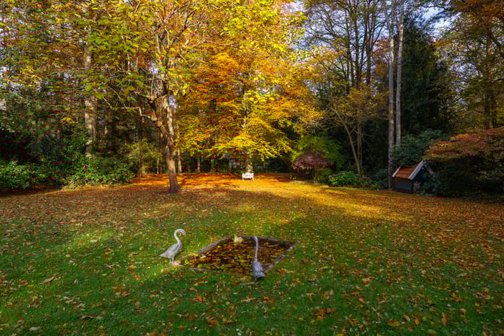 Photo 81 of Middenweg 1