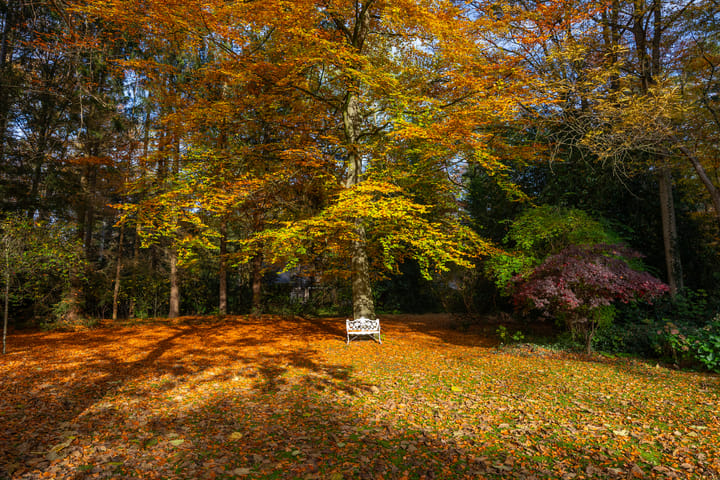 Photo 82 of Middenweg 1