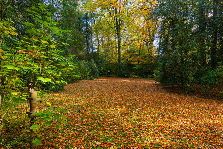 Photo 83 of Middenweg 1