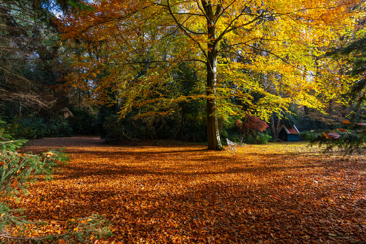 Photo 84 of Middenweg 1