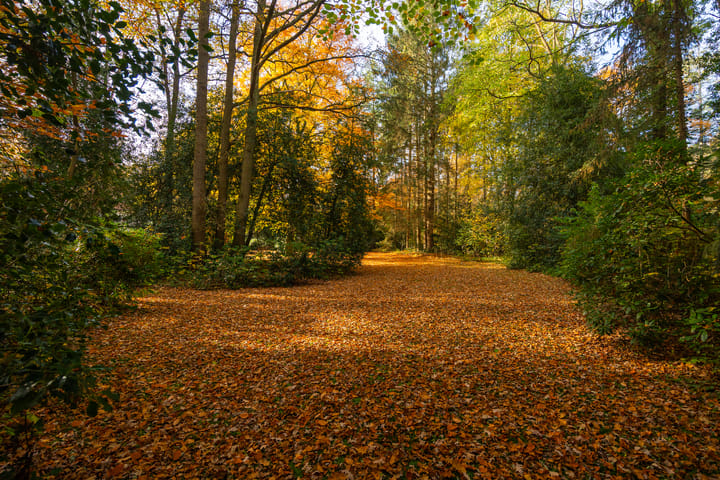 Photo 85 of Middenweg 1